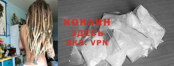 дурь Новодвинск