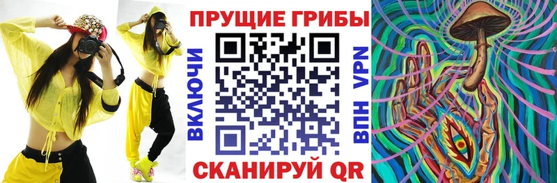 Купить закладки Кущёвская Псилоцибиновые грибы GOLDEN TEACHER